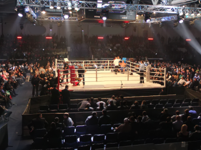 Бойни спортове